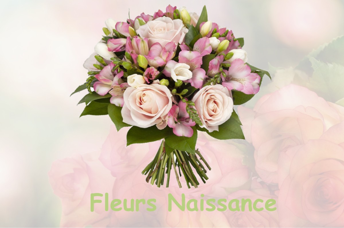 fleurs naissance GRANCEY-LE-CHATEAU-NEUVELLE